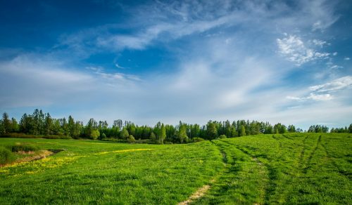 Land Tenure System - Types, Advantages And Disadvantages