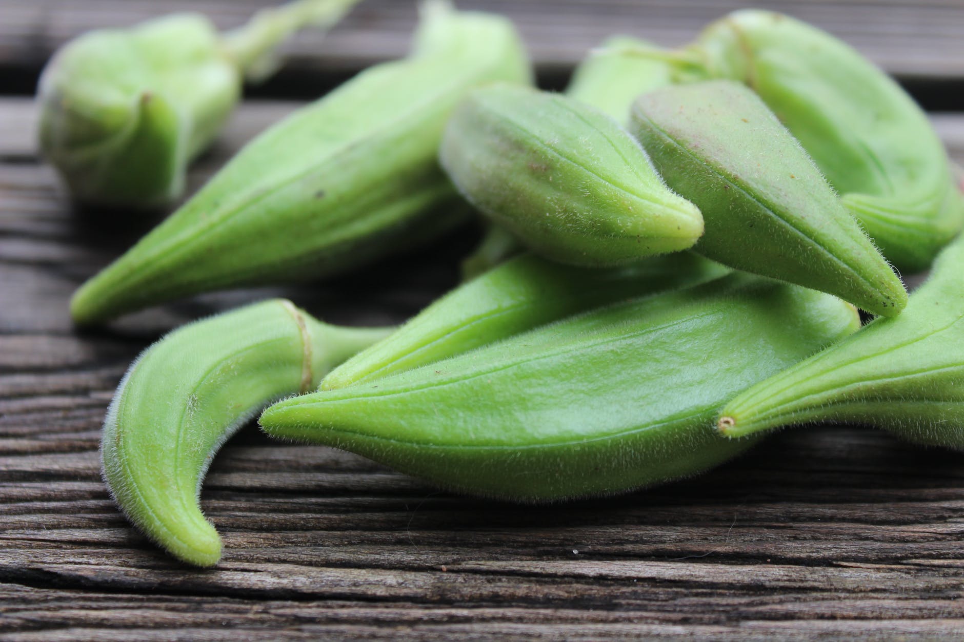 Cultural Practices Of okra, pests, Benefits And Importance