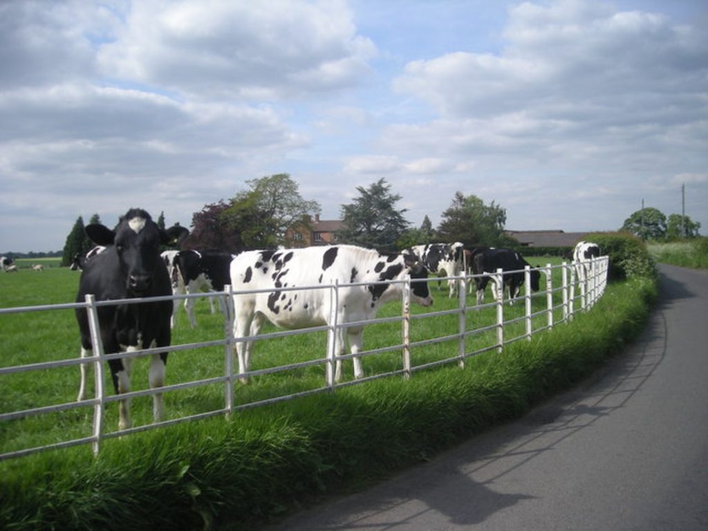 Types Of Livestock Farming