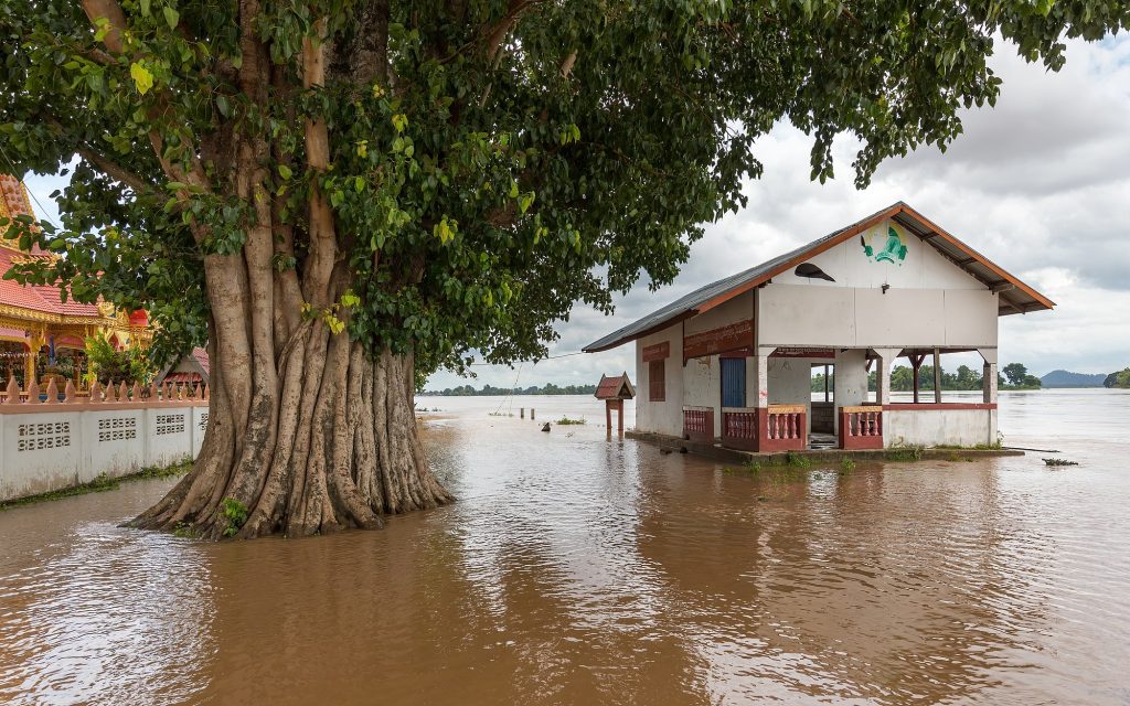 Effects of flooding