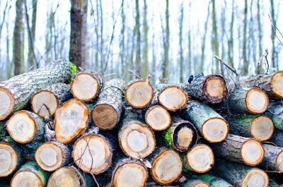 Importance Of Lumbering, Methods, Problems
