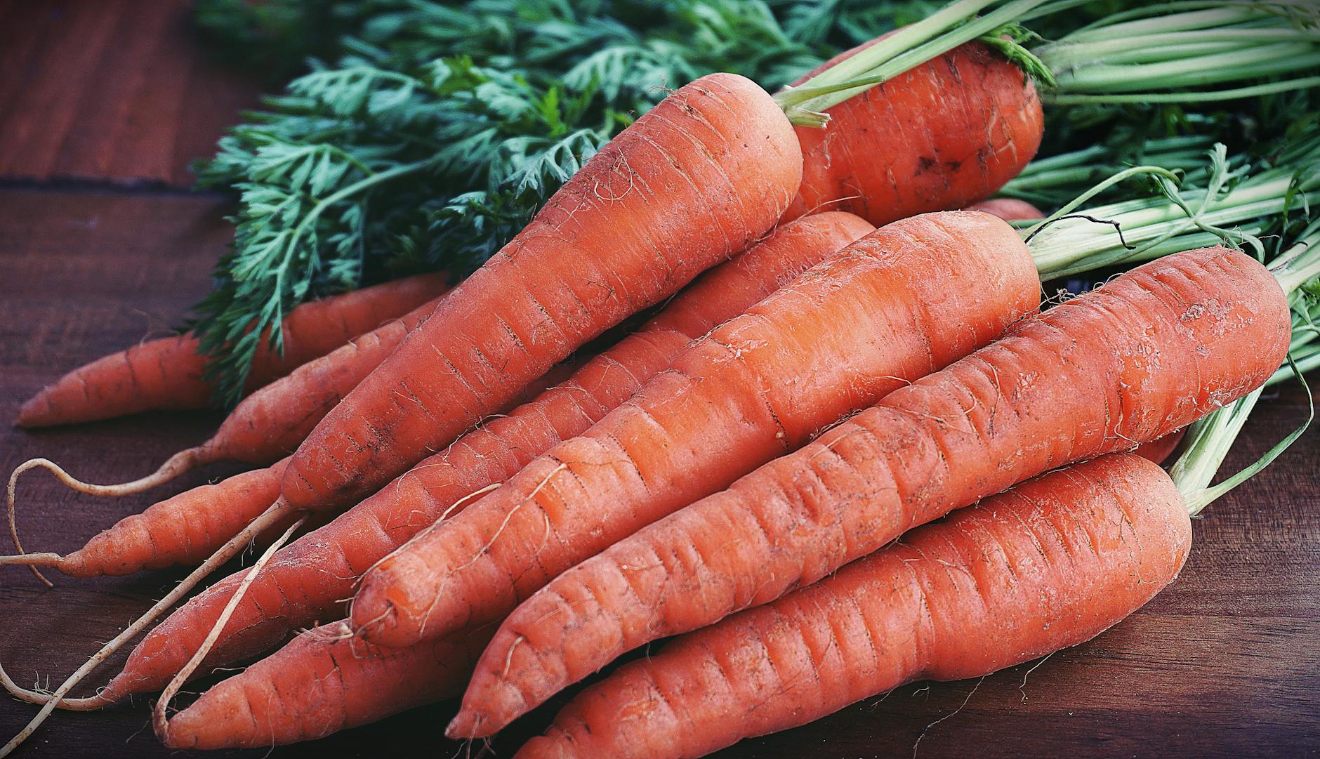 How to grow carrots, guide for sweet harvest