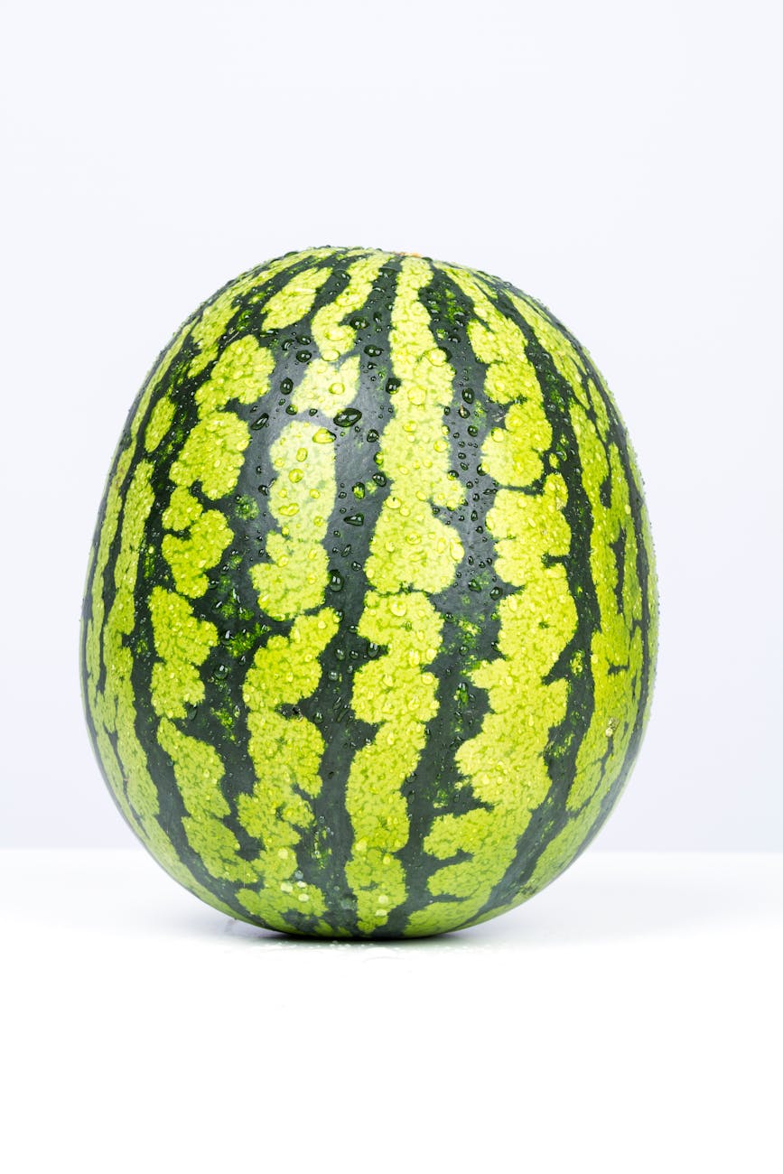 Watermelon farm guide, Best practices for high yield
