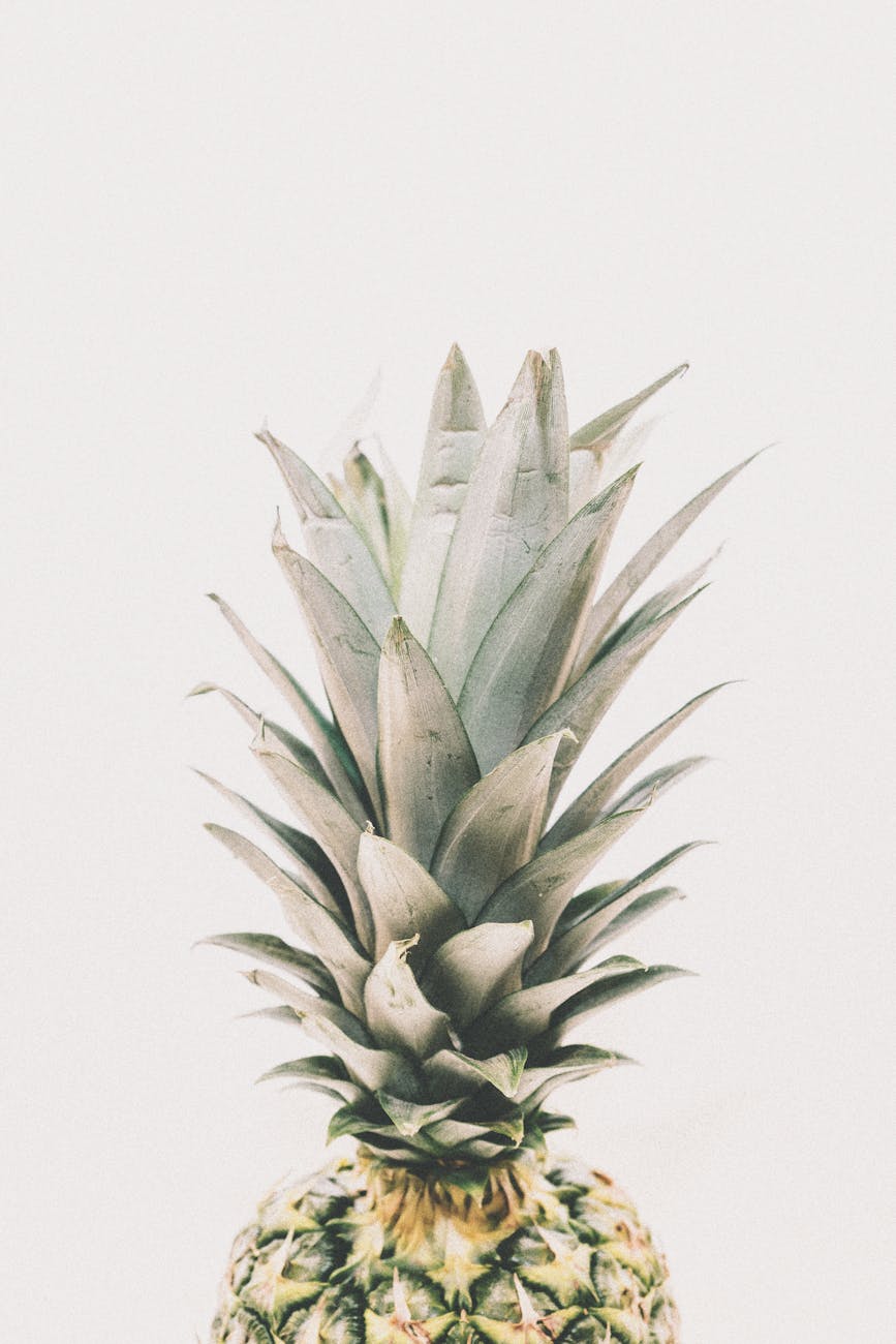 How to grow pineapple: guide for pineapple farming
