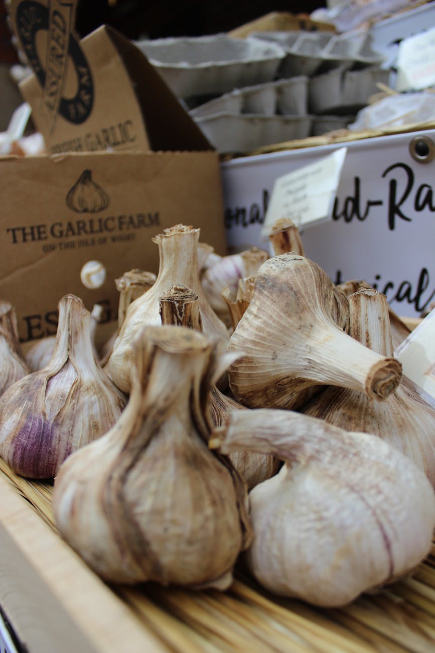 How to Grow Garlic | guide for garlic farming