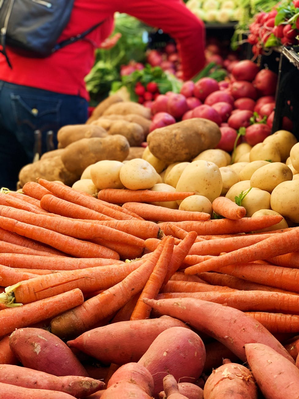 root crops to grow and when to Plant for a bountiful harvest