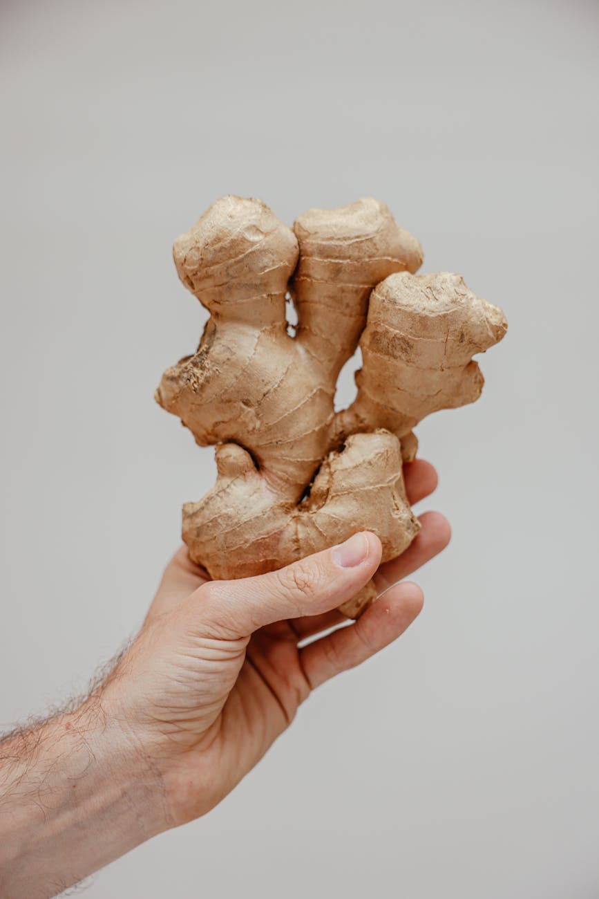 Ginger farming guide, best practices for high yield