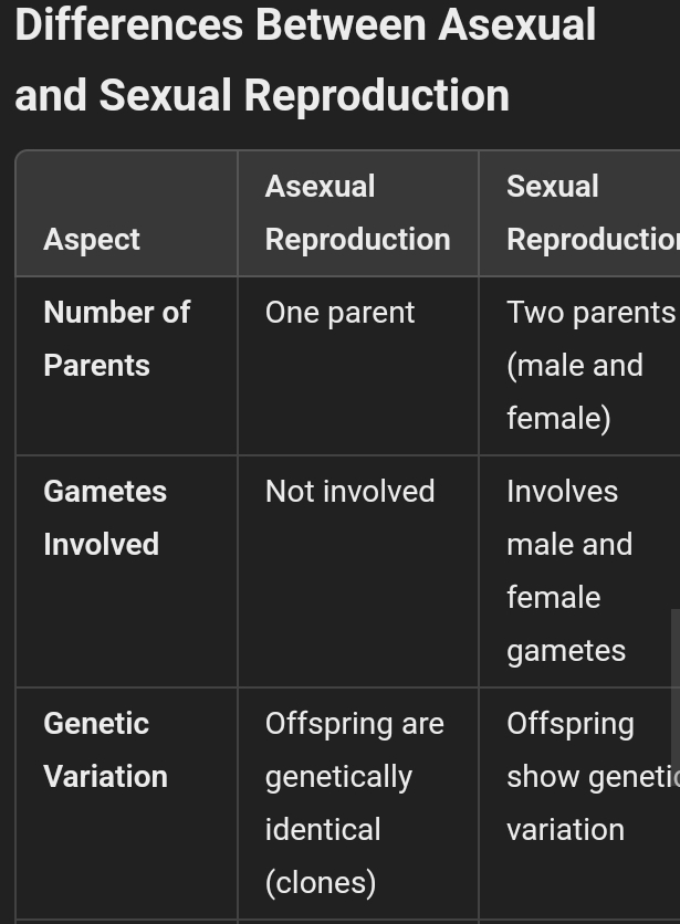 Meaning and types of reproduction - differences and examples