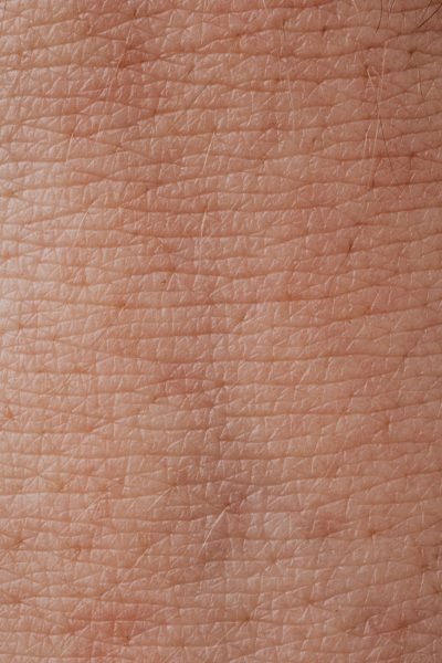 Functions of the Skin in Humans: Definition and Skin Layers