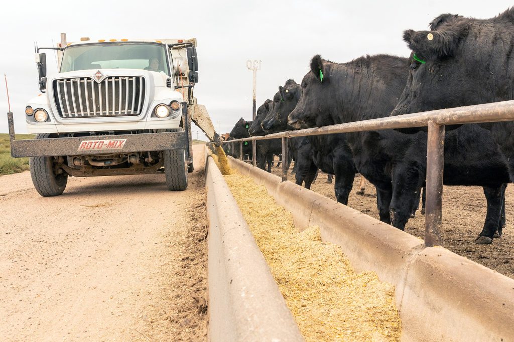 Feeding Methods for Livestock