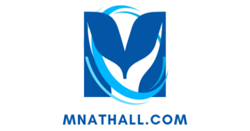 MN E-Learning