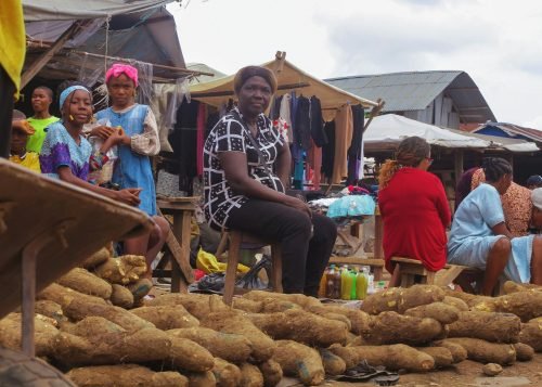 Yam Cultivation in Nigeria: Techniques, Benefits, and Challenges
