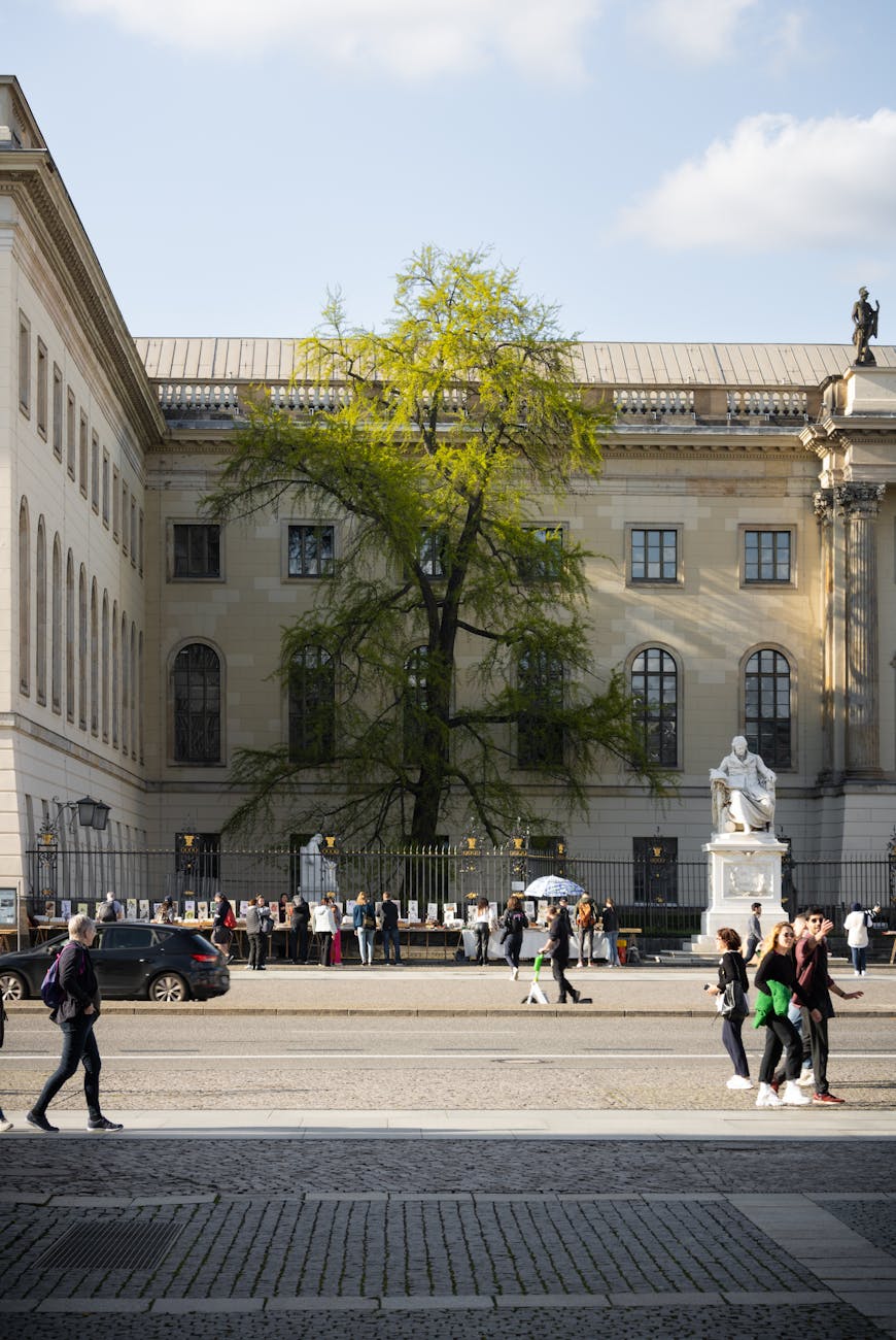 Best Public Universities in Germany for International Students