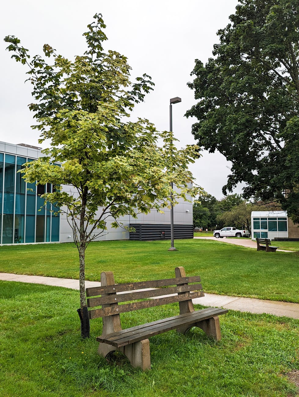 Best Public Universities in Canada for International Students